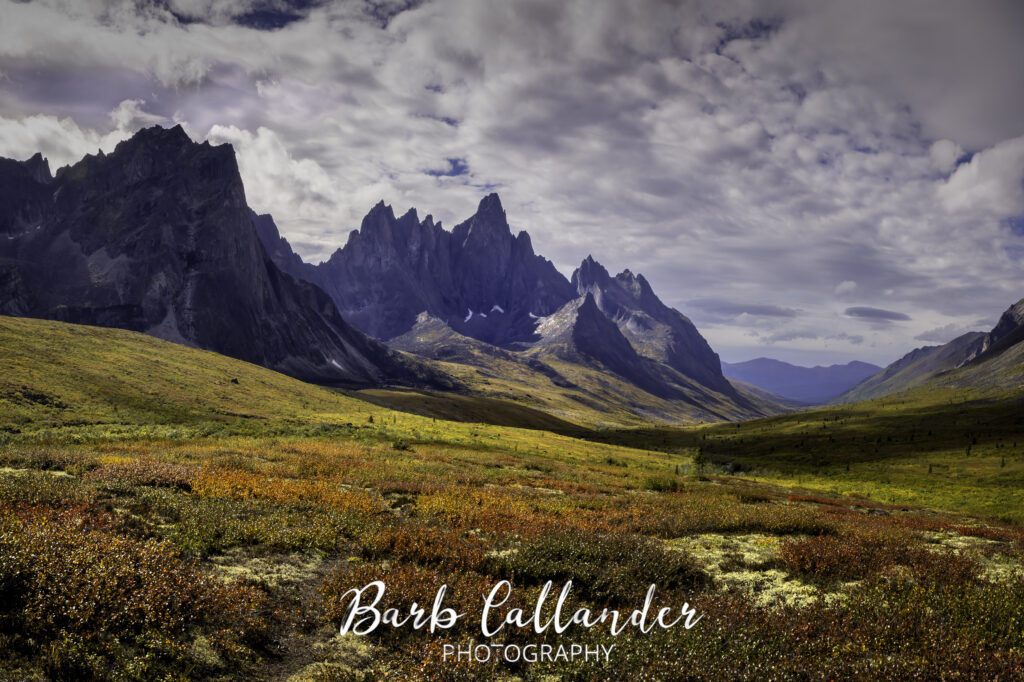 tombstone territorial park, landscape