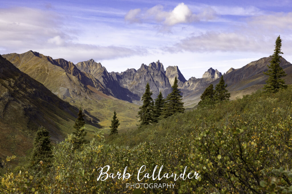 tombstone territorial park, landscape